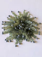 Midnight Juniper Half Sphere