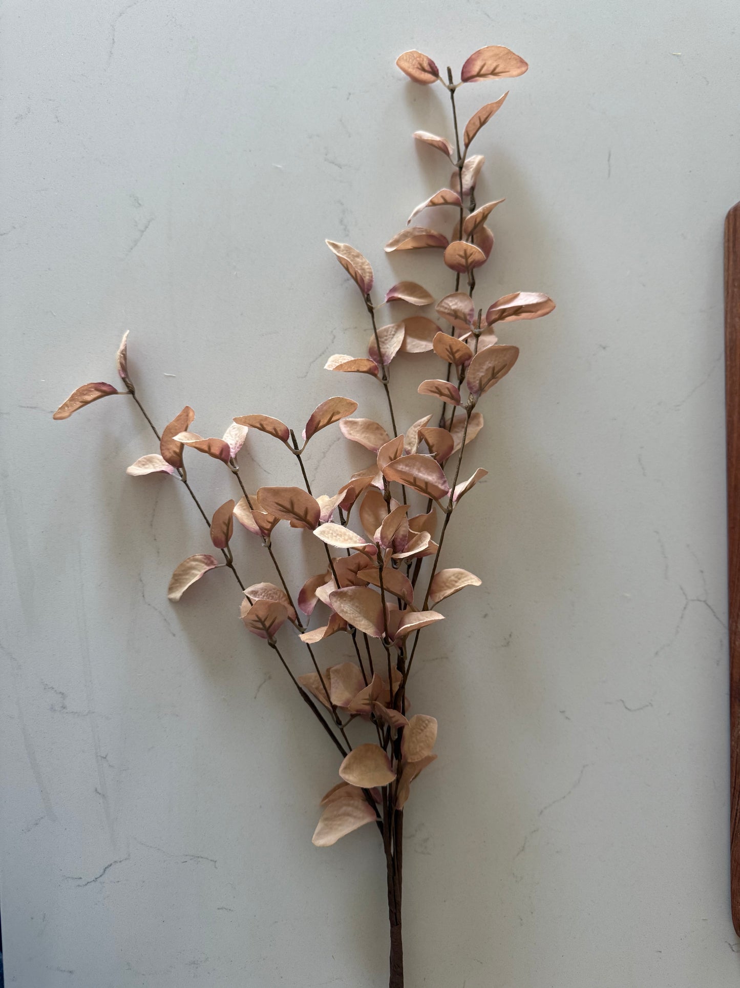 Beige Eucalyptus Stem- 34”L