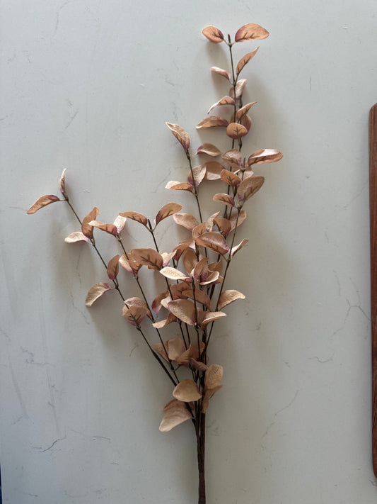 Beige Eucalyptus Stem- 34”L