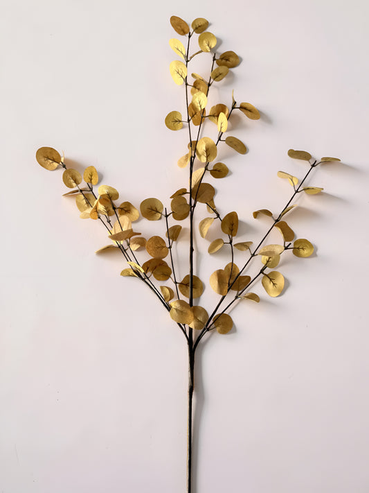 Penny Leaf Stem Mustard