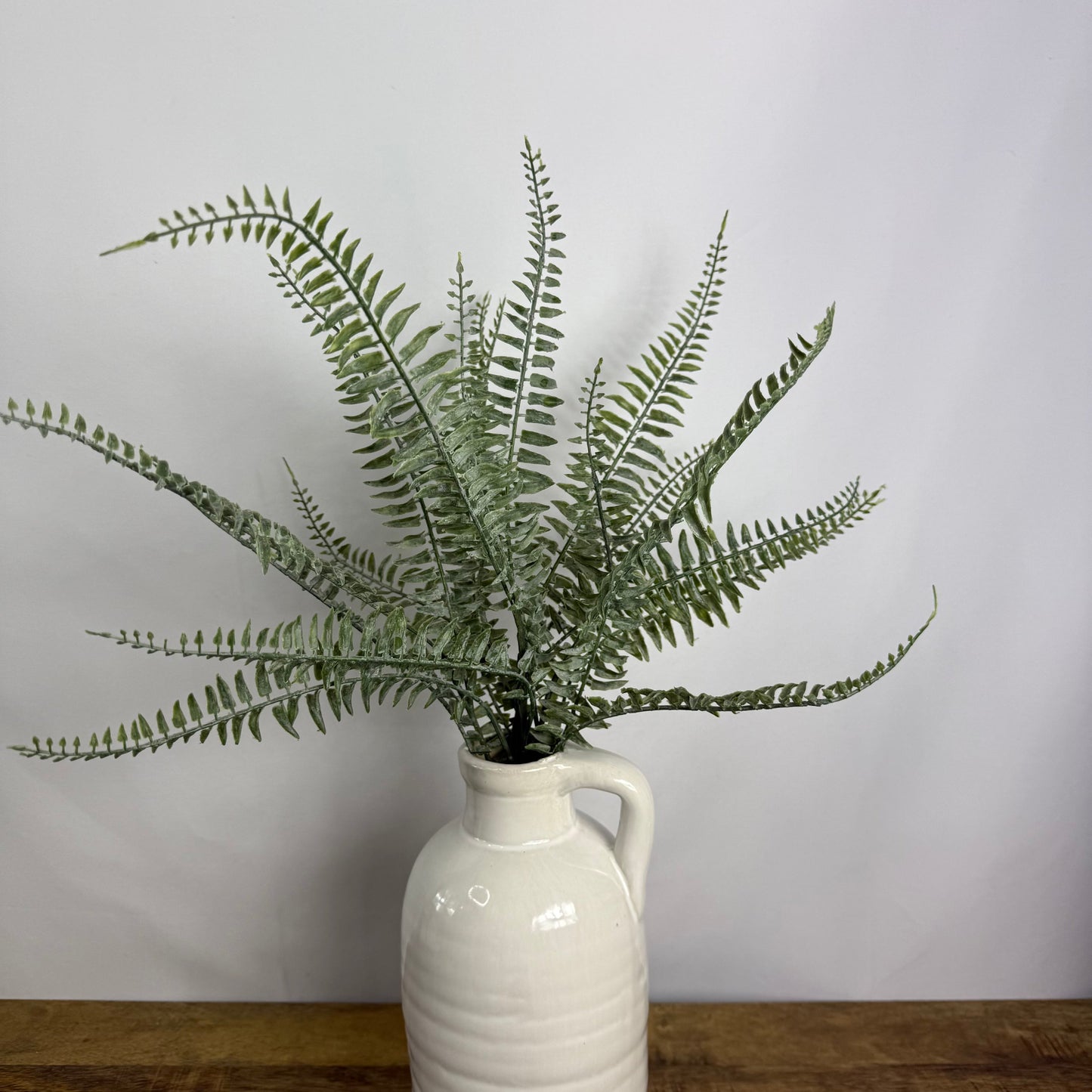 Powdered Fern Bush -20''