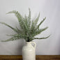 Powdered Fern Bush -20''