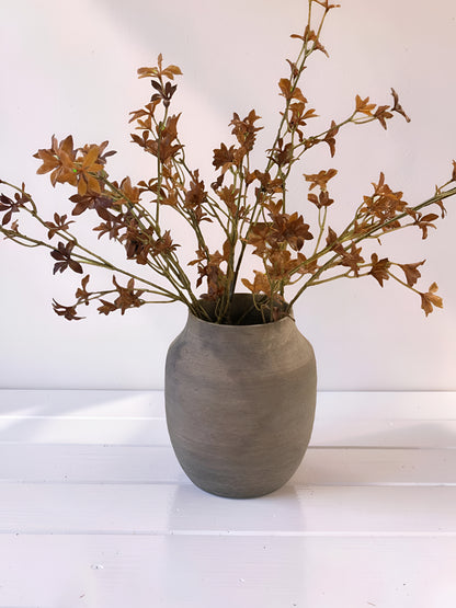 Ludwigia Fall Foliage Leaf Stem