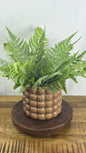 Fern Bundle