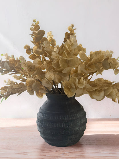 Cream Eucalyptus Bush