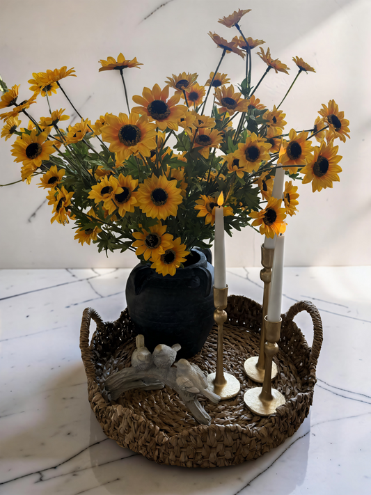 Yellow Black Eyed Susan Bush