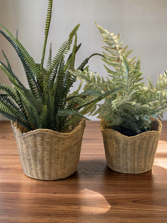 Basket Weave Cement Planters - Set of 2