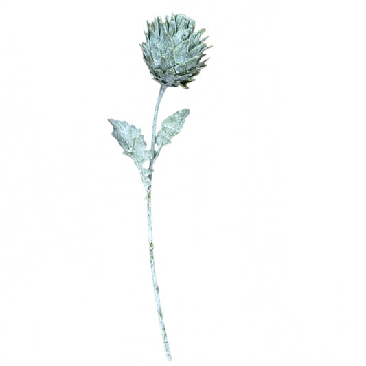 Soft Green Artichoke Stem