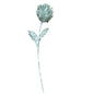 Soft Green Artichoke Stem