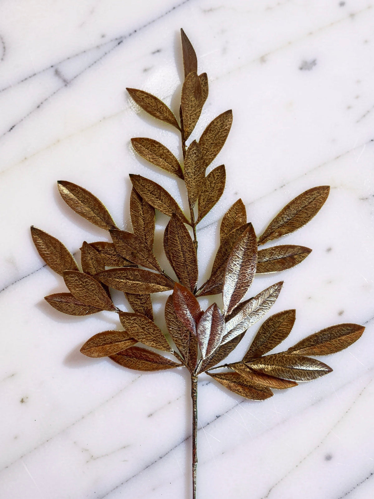 Magnolia Gold Leaf Stem