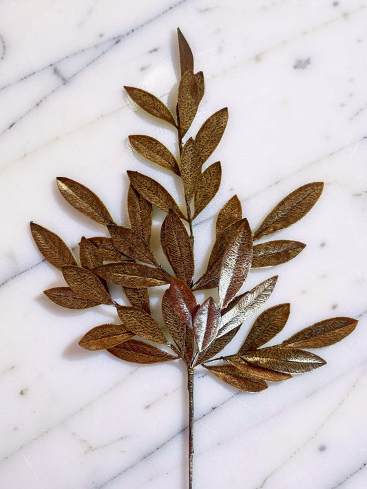 Magnolia Leaf Stem