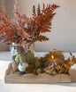 Fern and Pumpkin Bundle