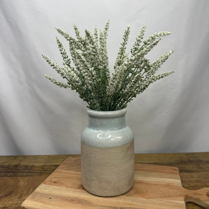 Cream Bush