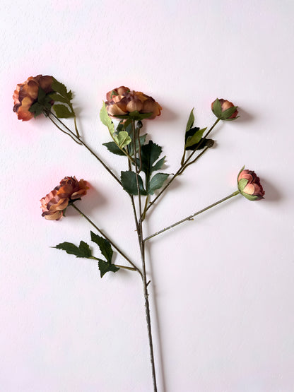 Rust Ranunculus Stem