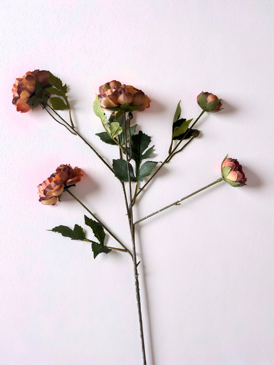 Rust Ranunculus Stem