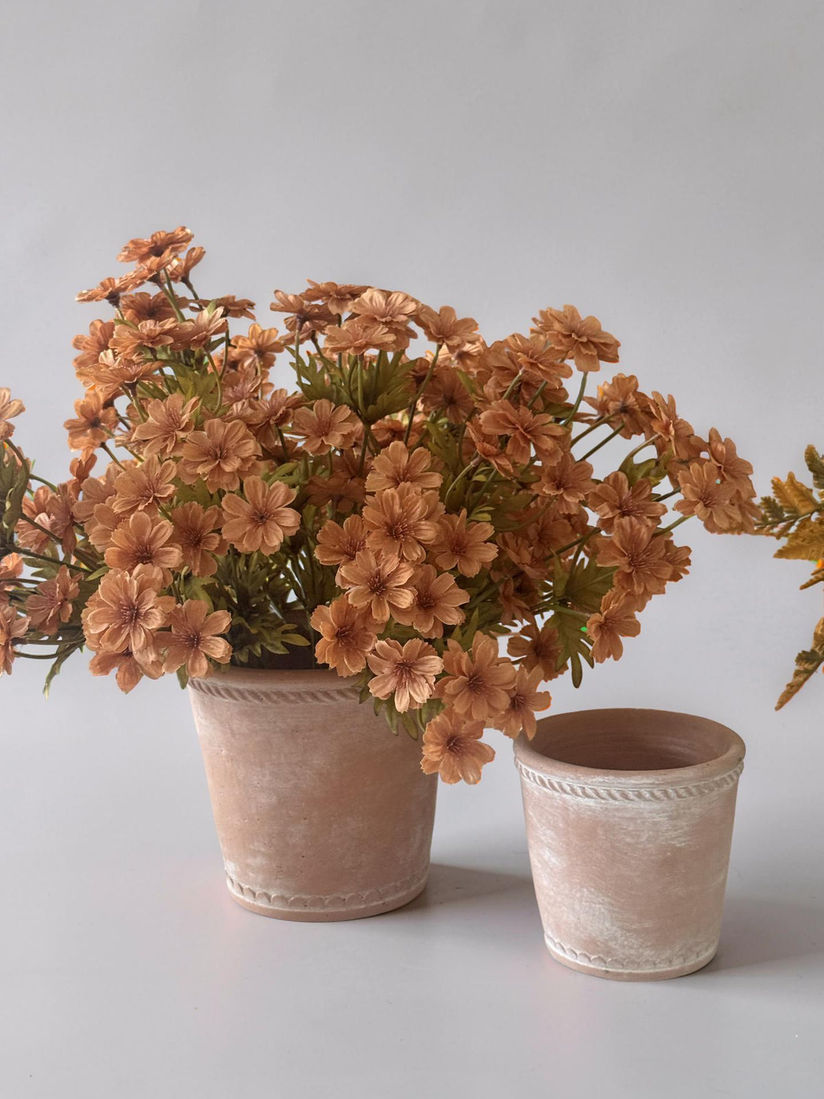 Terracotta Planters - Set of 2
