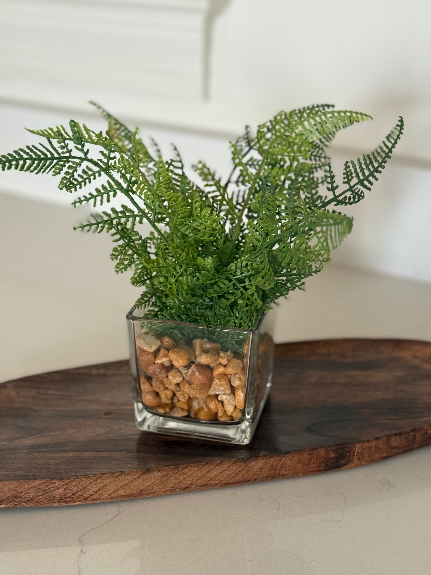 Fern in glass vase -