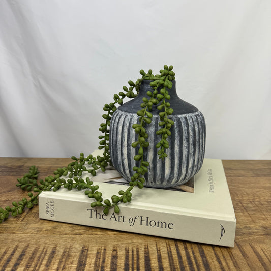 Hanging Succulent