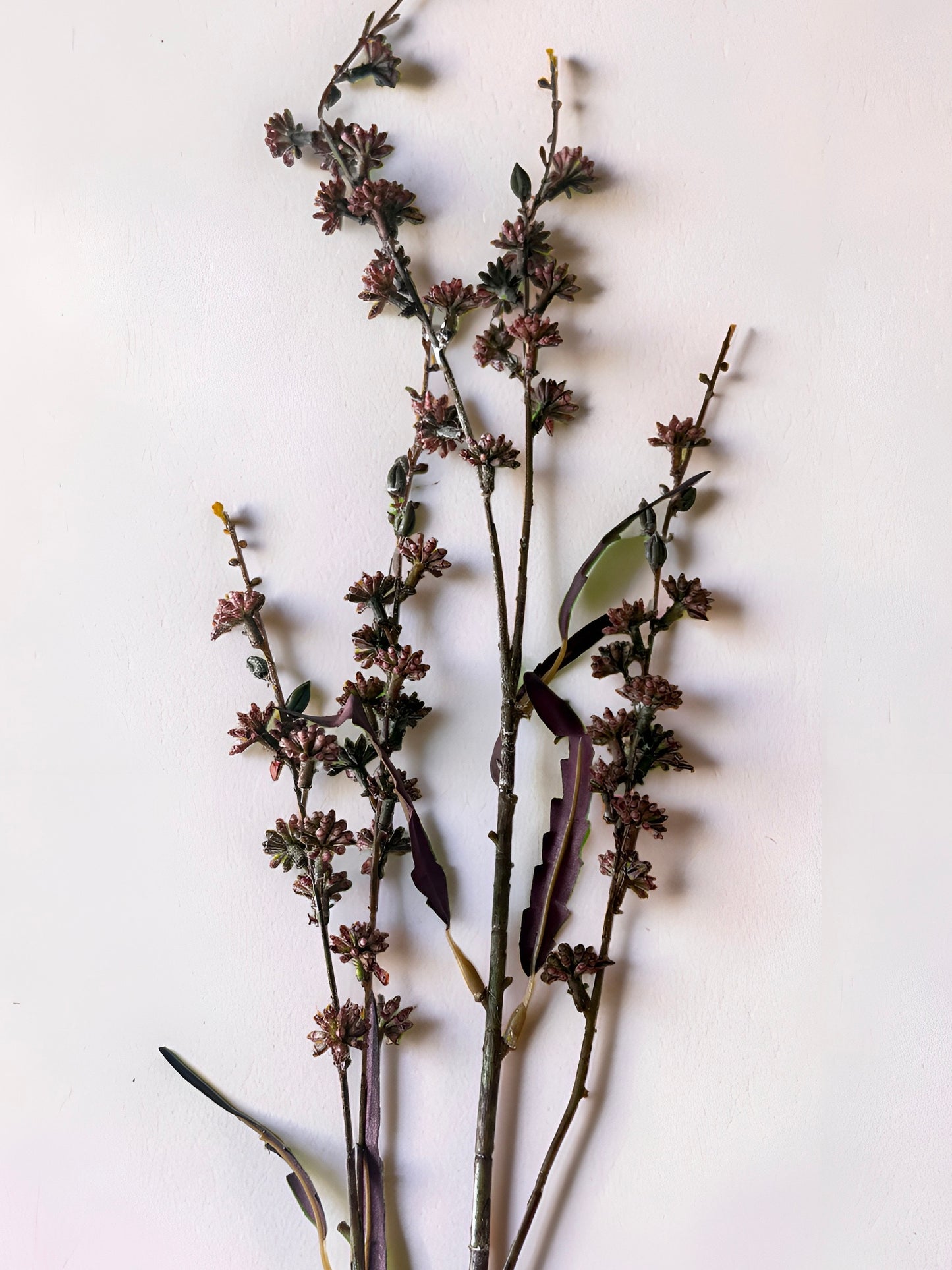 Red Wild Flower Branch
