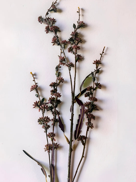 Red Wild Flower Branch