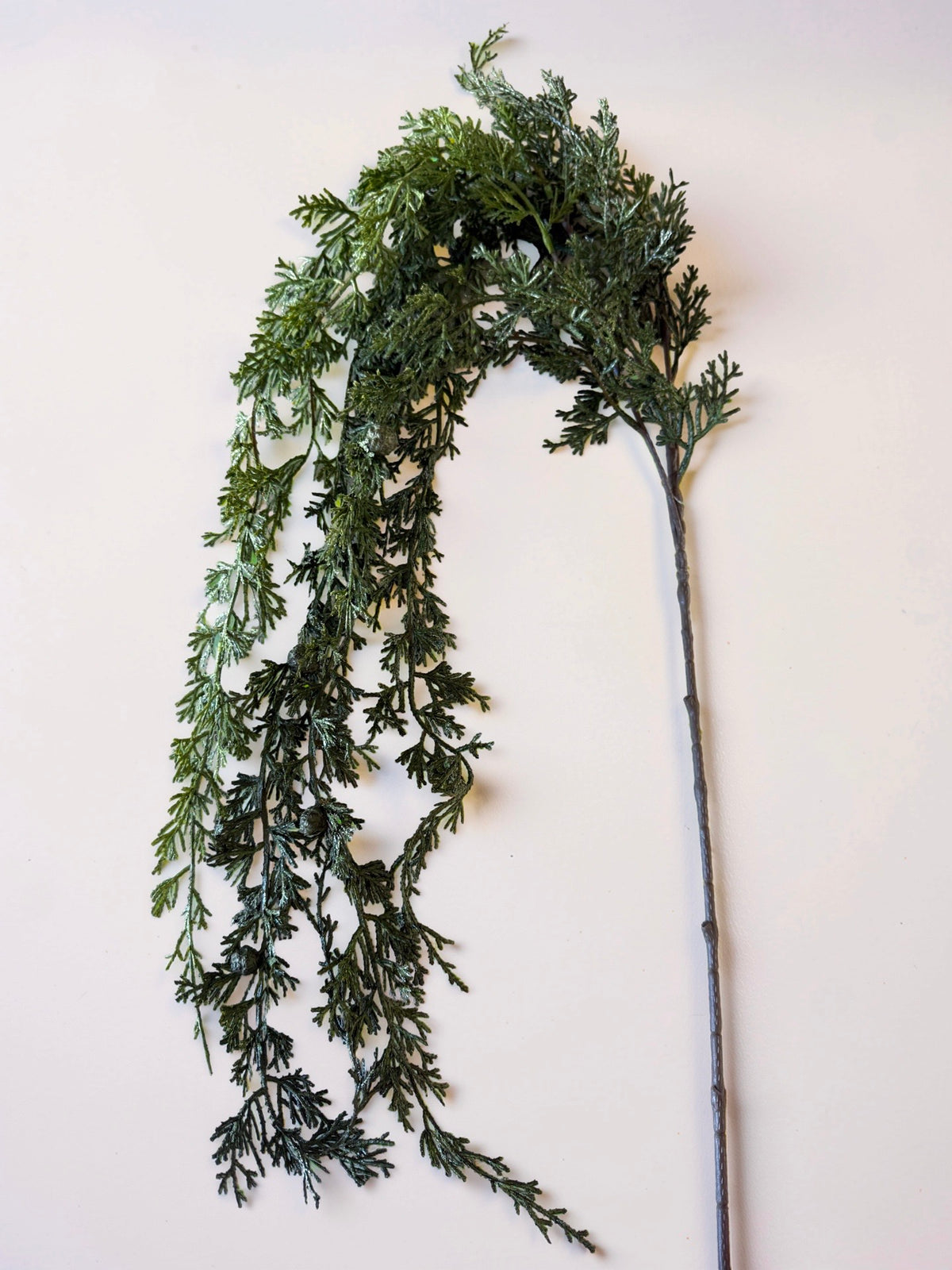 Hanging Cedar