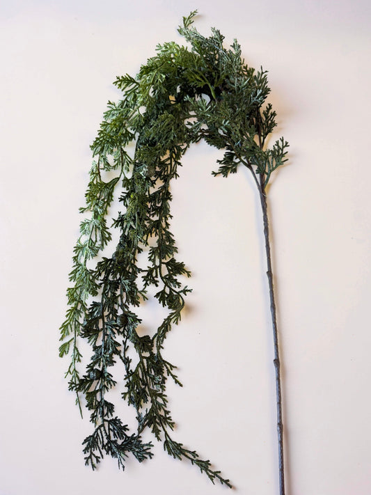 Hanging Cedar