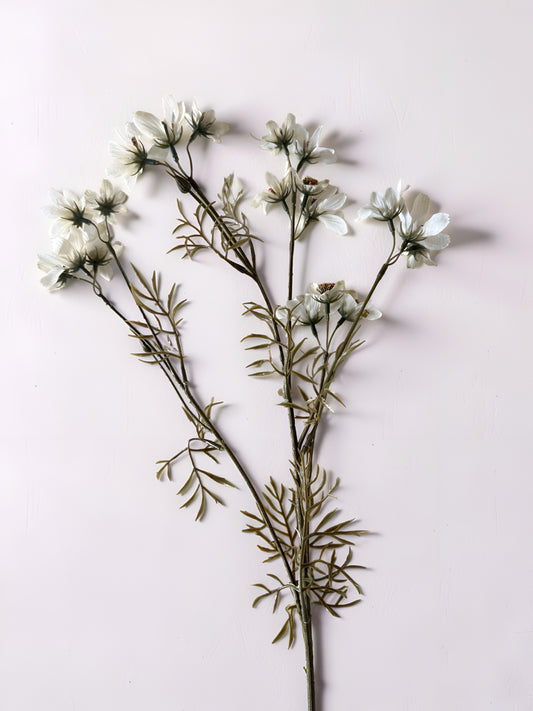 White Cosmo Stem