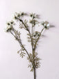 White Cosmo Stem