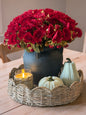 Red Mum Bundle