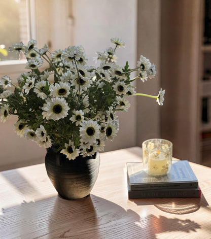 White Black Eyed Susan Bush
