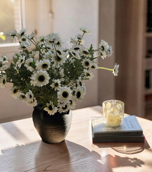 White Black Eyed Susan Bush