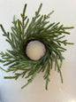 Norfolk Pine Candle Ring -Real Touch
