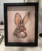 Rabbit Frame