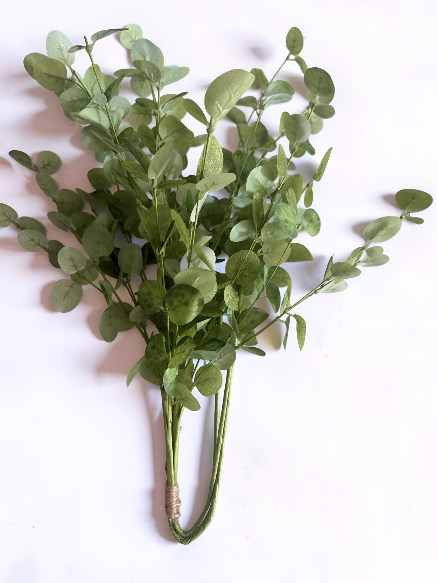Eucalyptus Bundle