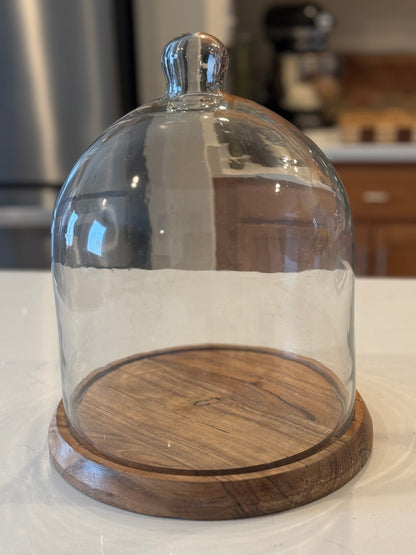 Glass Cloche with Acacia Wood Base -14''H