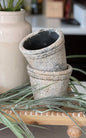 Cement Scalloped Pot