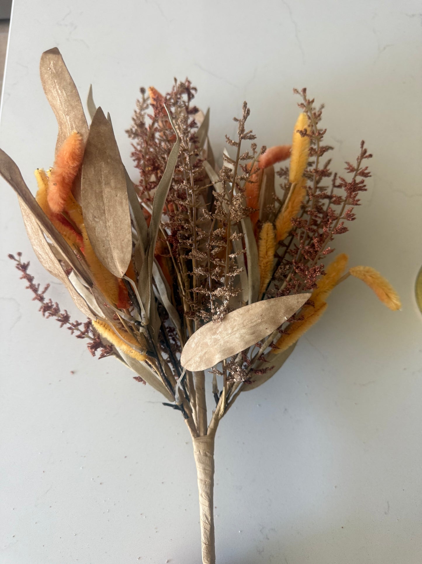 Cattail Meadows Bush