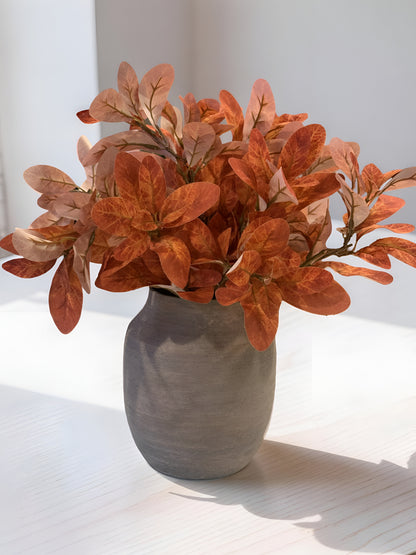 Orange Laurel Bush
