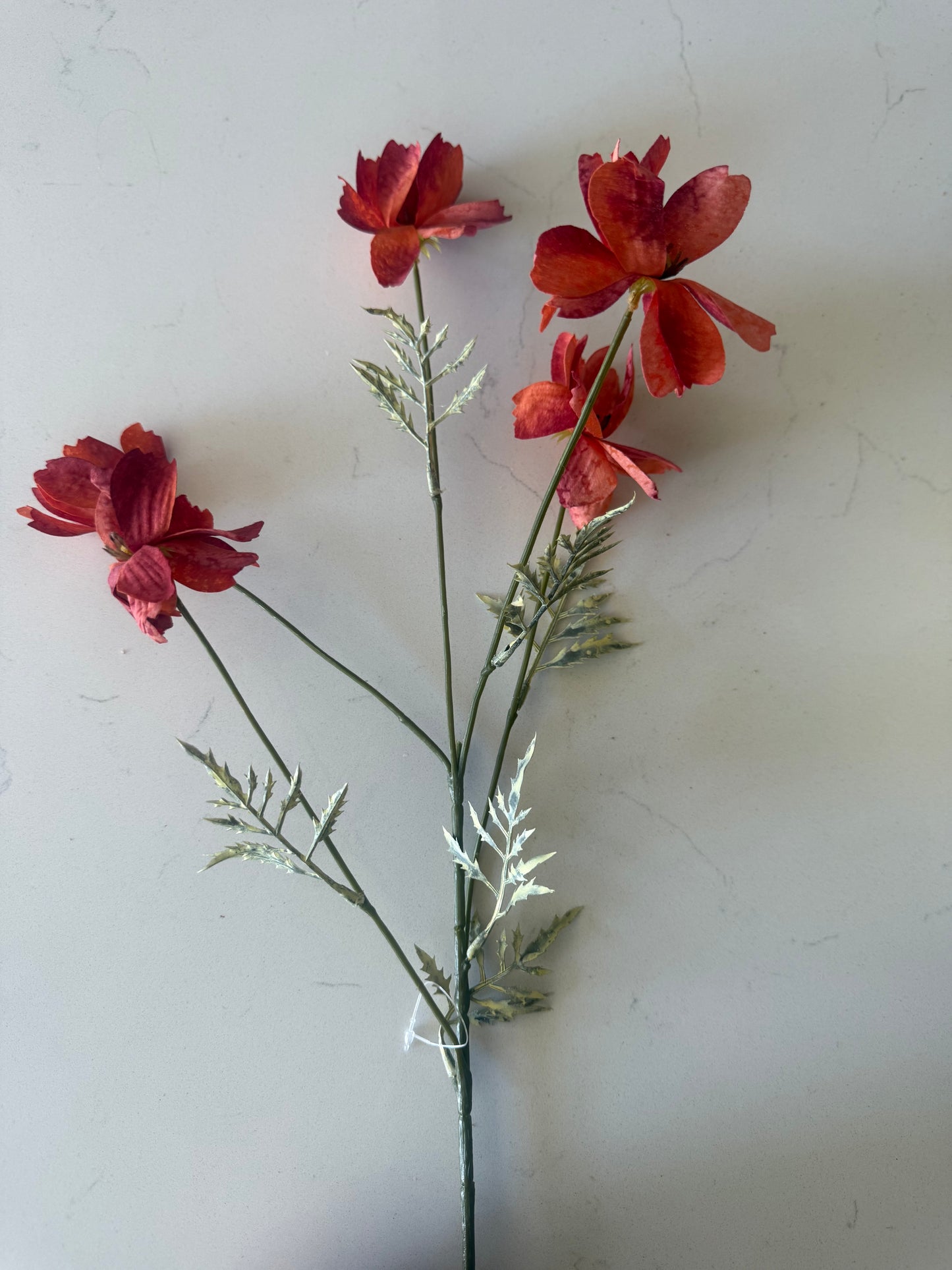 Orange Flower Stem