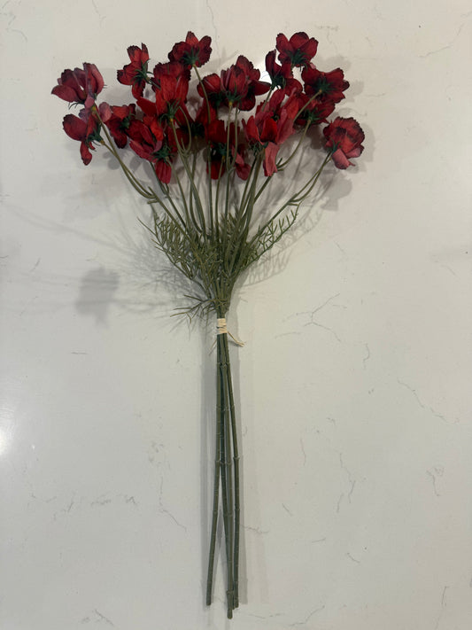 Light Burgundy Cosmos Stem