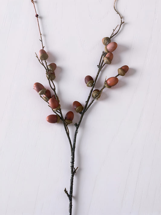 Orange and Brown Acorn Stem