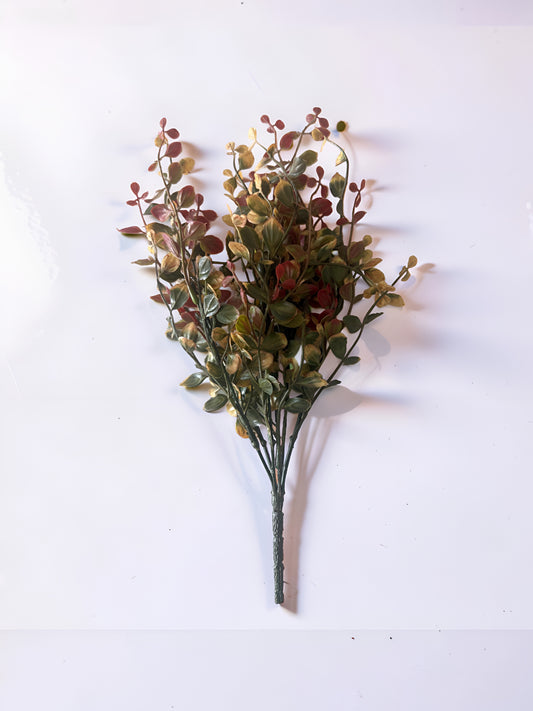 Red Pimpernel Bush