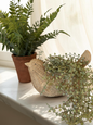 Polyresin Weave Bird Pot