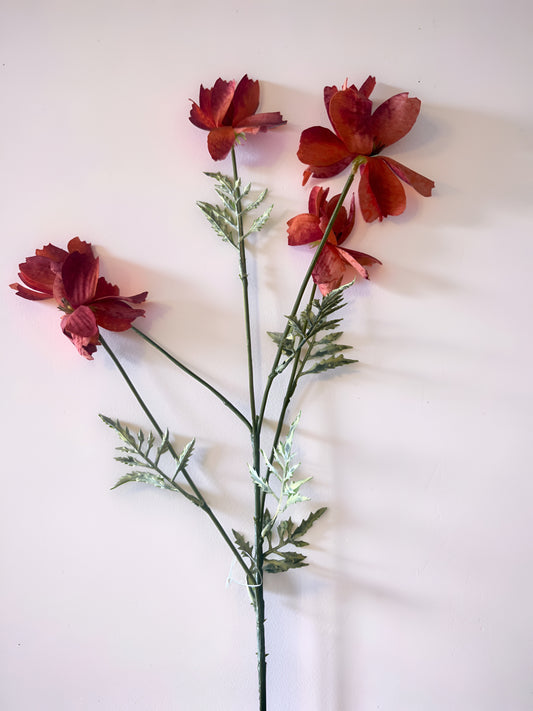 Orange Cosmo Stem