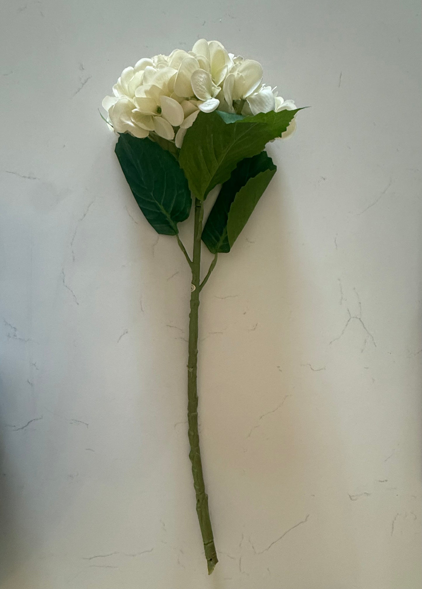 Green Hydrangea Real Touch Stem
