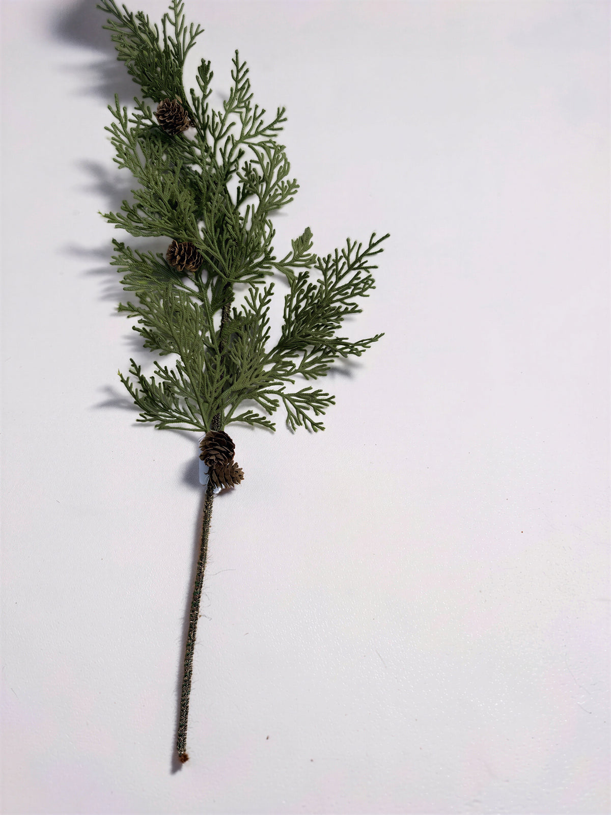 Hemlock Stem