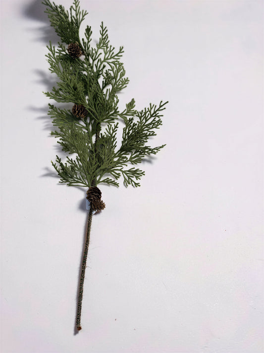 Hemlock Stem
