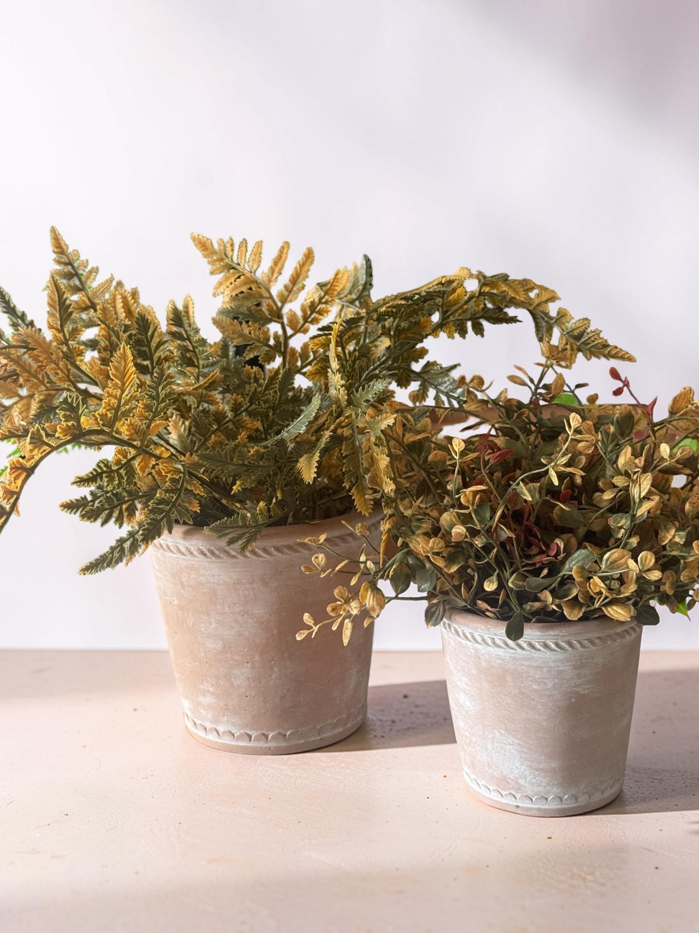 Terracotta Planters - Set of 2
