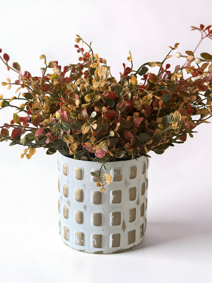 Red Pimpernel Bush