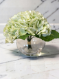 Light Green Hydrangea In Glass Vase